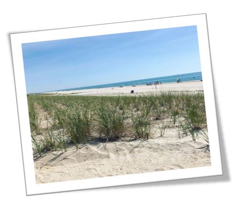 LBI Real Estate Home Listing Timeline | Selling a Home on Long Beach Island New Jersey